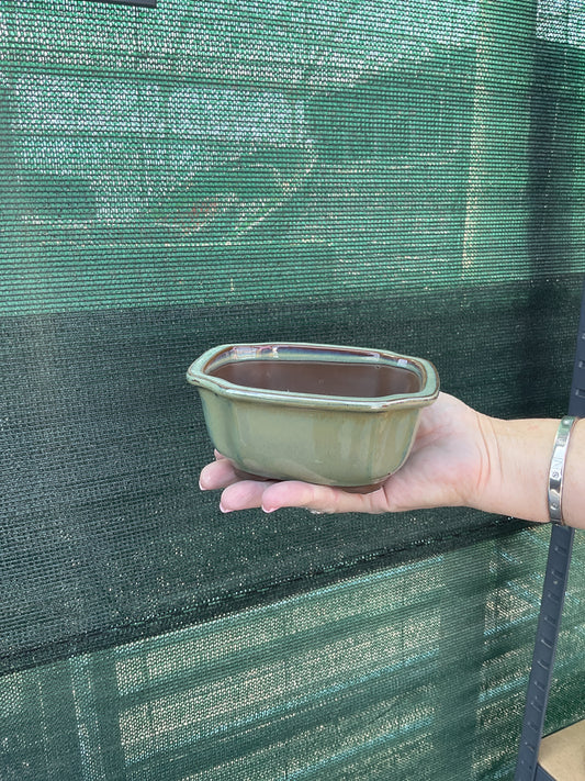 Pot ovale vert 16.5 cm