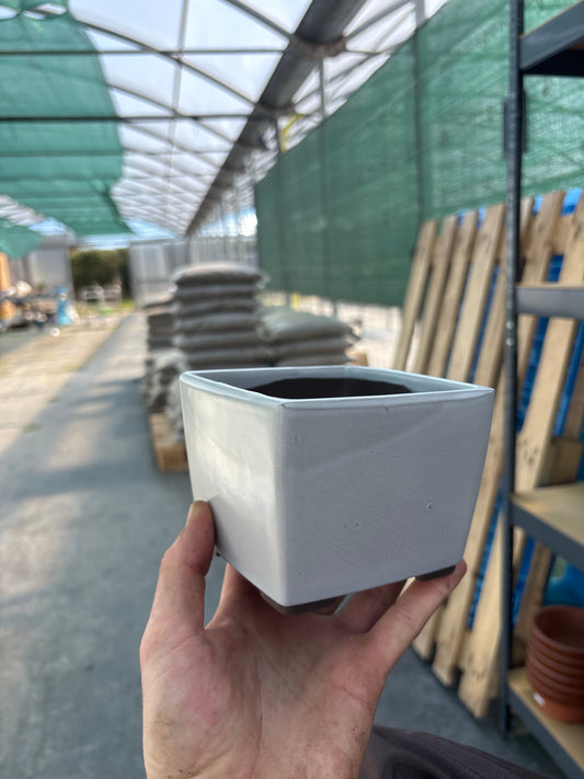 Pot carré crème 11.5 cm
