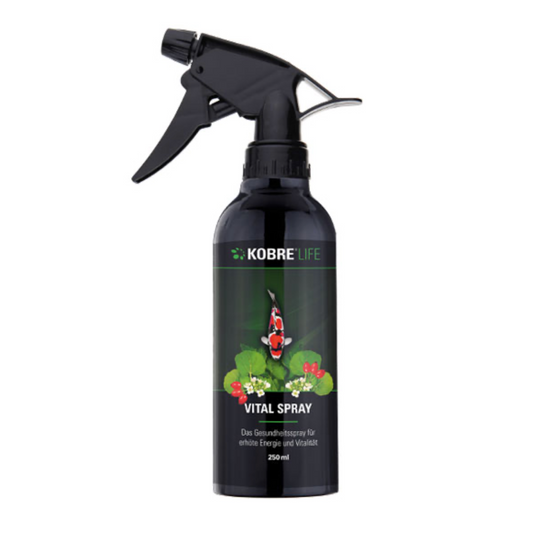 Kobre®Life Vital Spray le spray santé pour une vitalité accrue