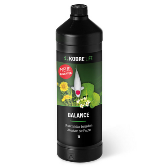 Kobre®Life Balance est indispensable à chaque transfert de poisson !