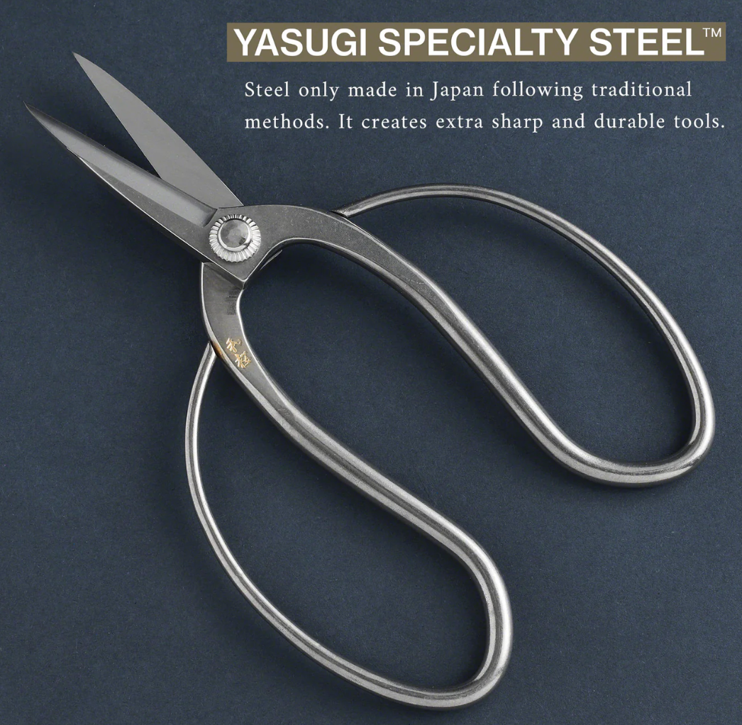 Outils Yasugi Ashinaga Bonsai Ciseaux (inoxydable)