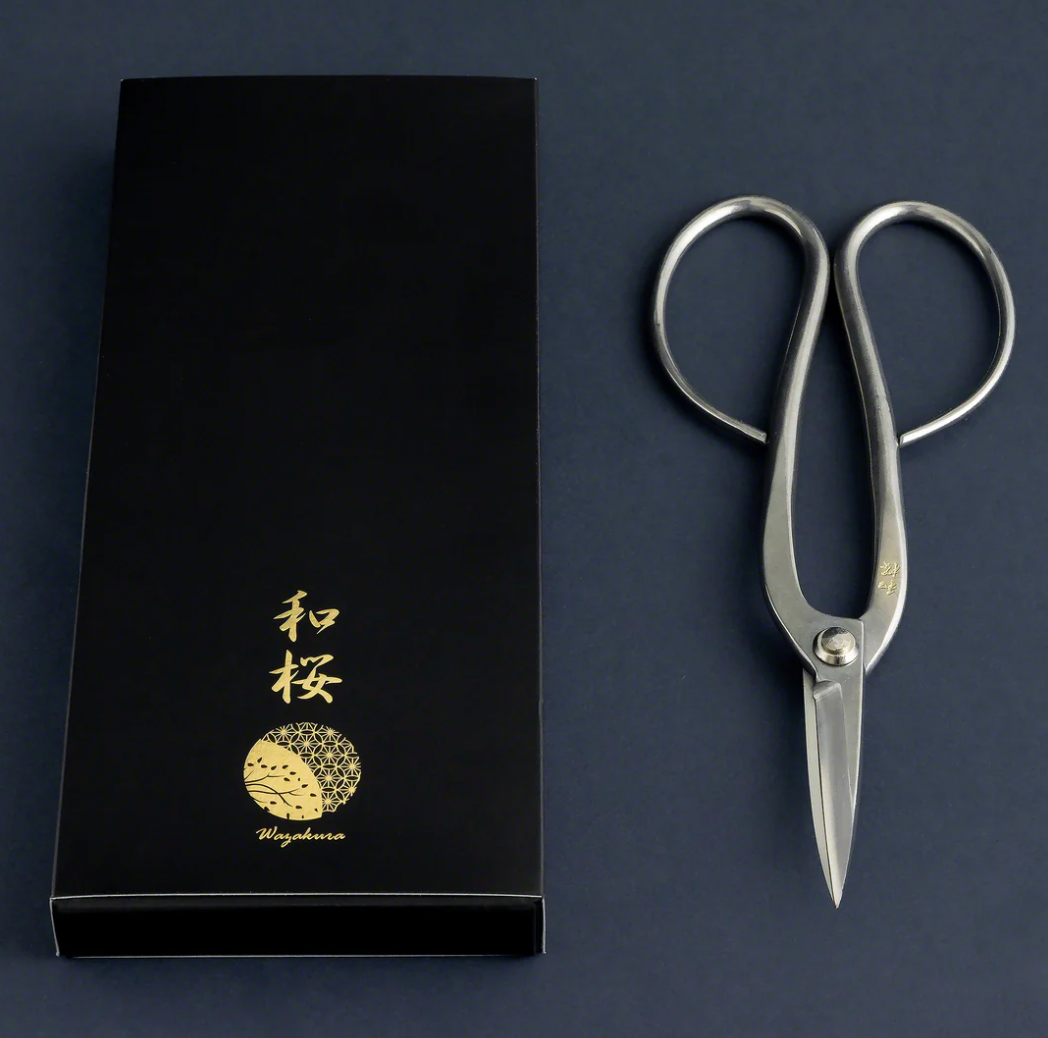 Outils Yasugi Ashinaga Bonsai Ciseaux (inoxydable)