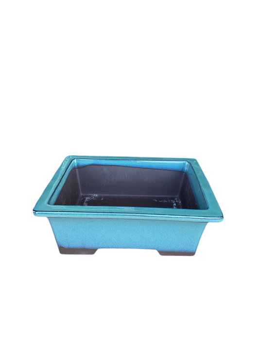 Pot rectangulaire vert