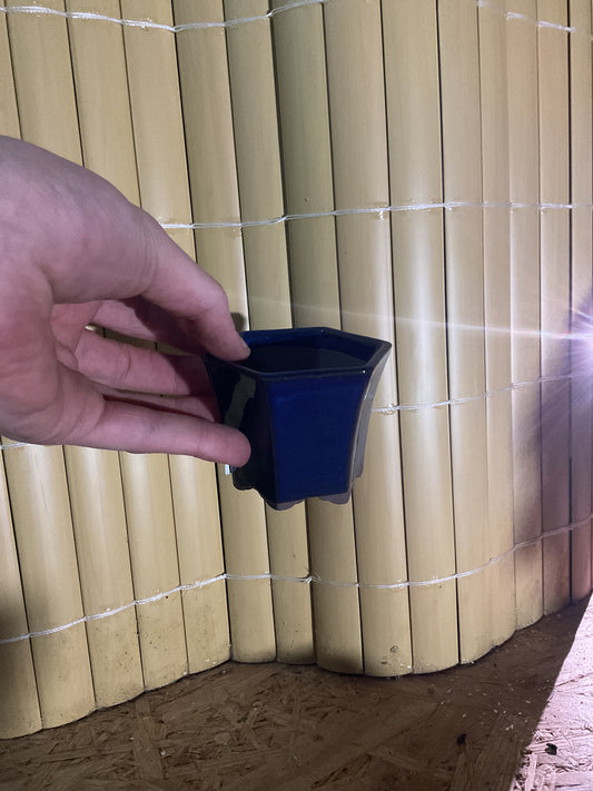 Pot hexagonal bleu 8cm